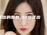 牙齿的颗数,32岁牙齿矫正后悔一辈子