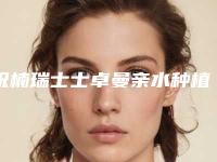 祝楠瑞士士卓曼亲水种植牙的副作用会有哪些
