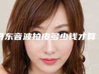 丹东音波拉皮多少钱才算便宜,丹东音波拉皮的价格详解