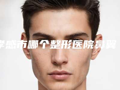 孝感市哪个整形医院鼻翼缘缺损做的好(孝感市中心医院整形美容科价格童叟无欺)