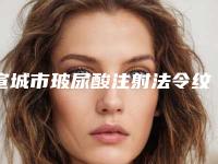 宣城市玻尿酸注射法令纹整形价格表价目表2025全新上线(近6个月均价为：6089元)