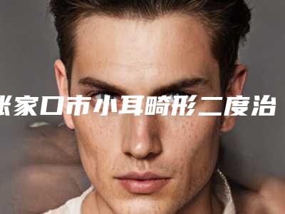 张家口市小耳畸形二度治疗价格表2025版曝光-张家口市小耳畸形二度治疗手术费用具体是怎样呢