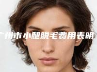 广州市小腿脱毛费用表明细新版发布-广州市小腿脱毛手术方法及价格